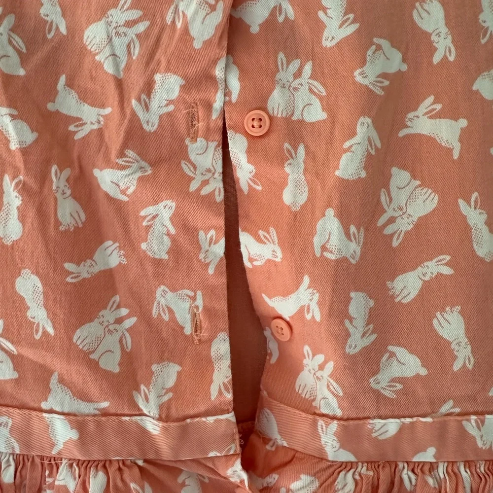 Carter’s Bunny Dress